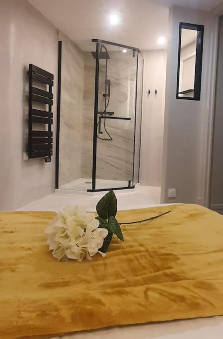 Suite Vinicole Hypercentre, Bastille & Gare 9 Min A Pied Grenoble Eksteriør billede
